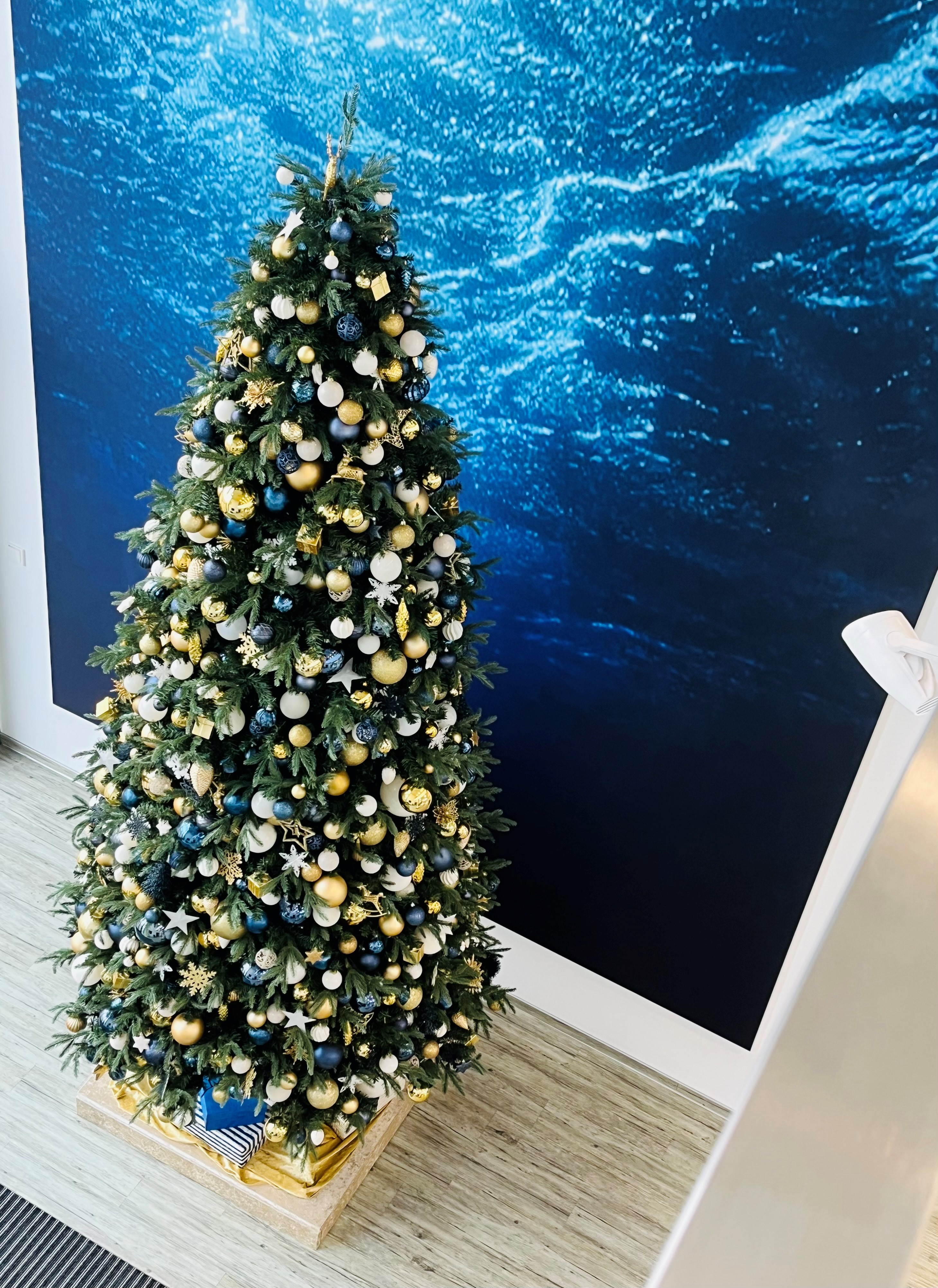 Die Weihnachtszeit steht vor der Tür - Planung ist alles, HeylNeomeris macht Betriebsferien