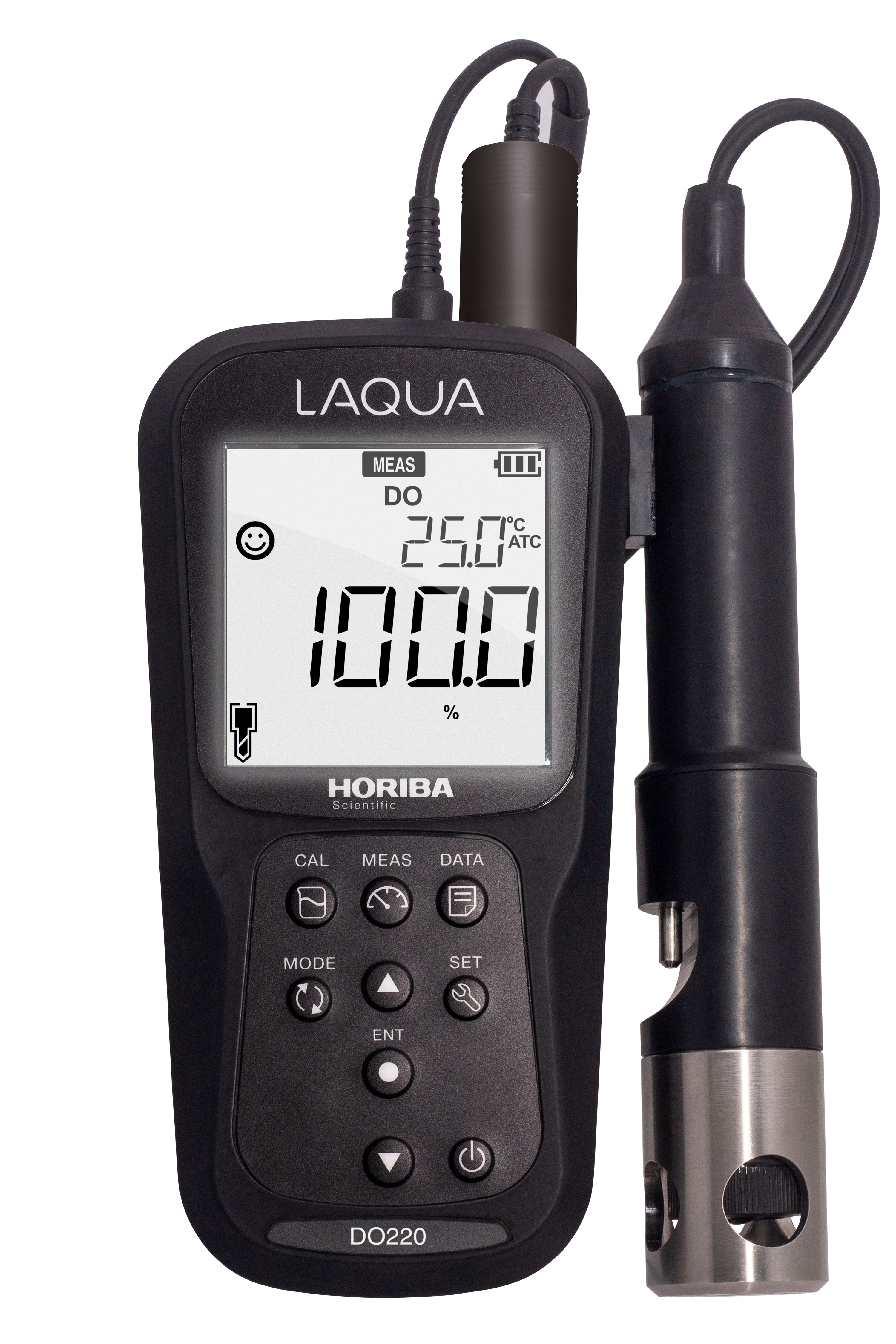 Horiba LAQUA DO220 measuring device with electrode.